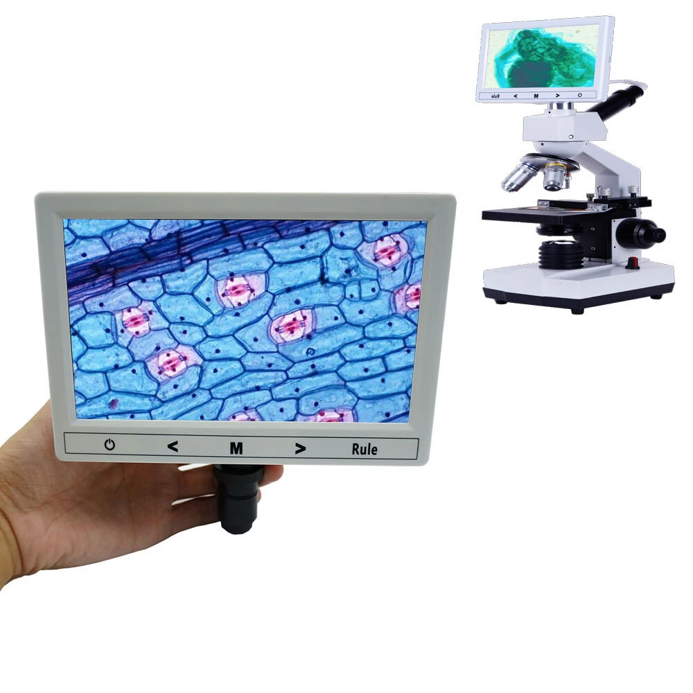 5 7 9 Inch Electronic Eyepiece Display Screen | HD Microscope Camera for Stereo Biological Microscopes