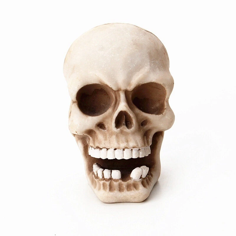 Skull Head Wall Mounted Hook - Resin Skeleton Key Holder for EDC Storage