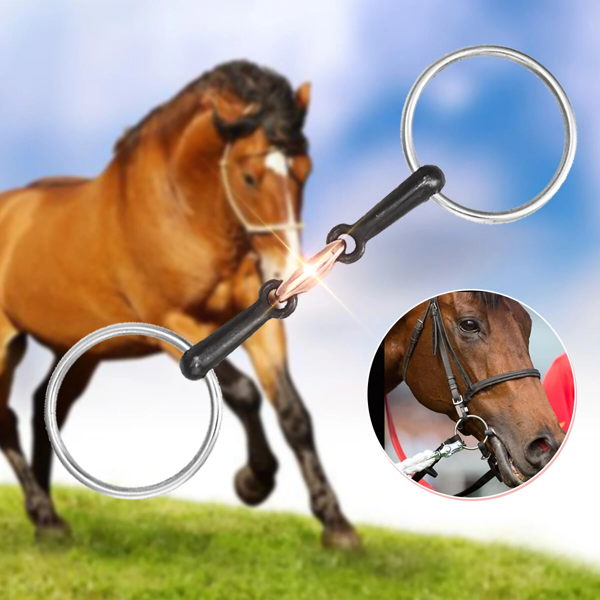 Stainless Steel Horse Mouth Ring Bit - 105/115/125mm Snaffle | Equestrian
