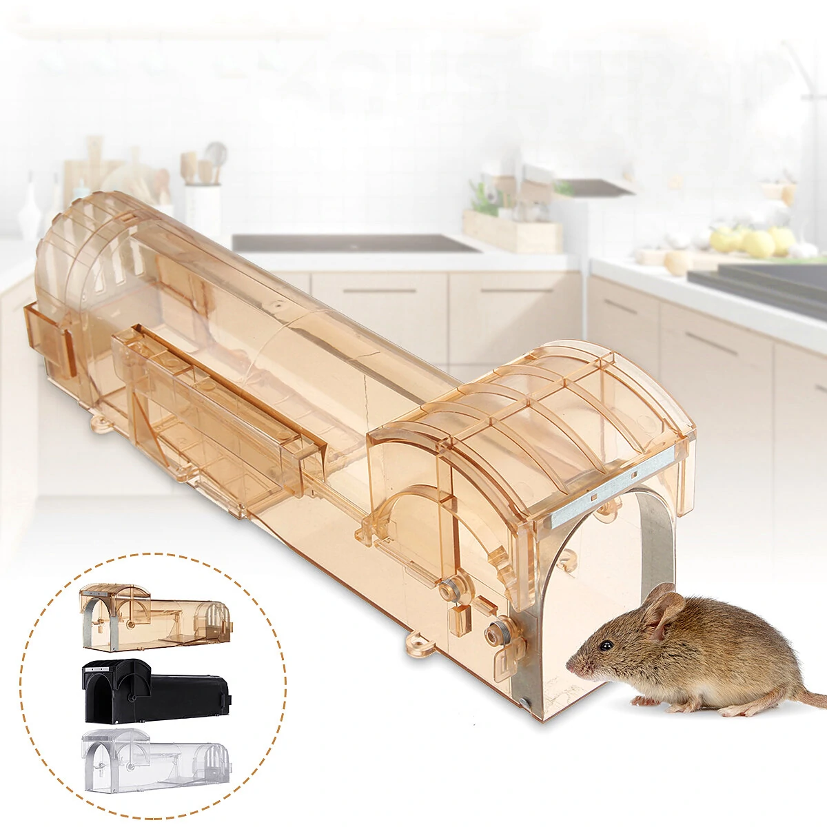 Humane Live Mouse Trap - Rodent Cage for Rats & Hamsters - No-Kill Catch & Release